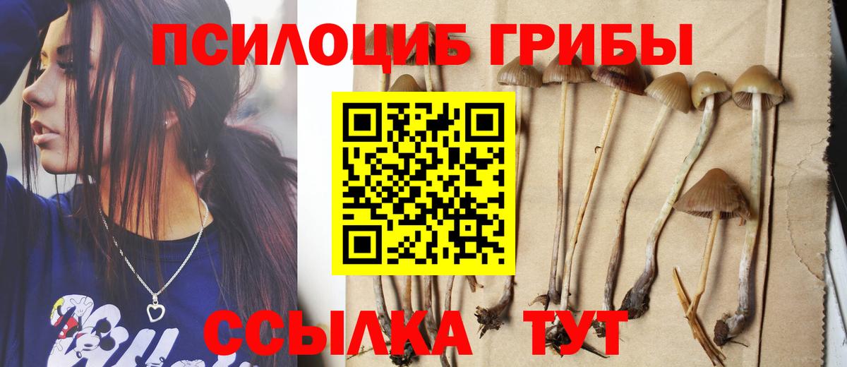 Галлюциногенные грибы Cubensis  Вход с VPN  цены   Новокуйбышевск 